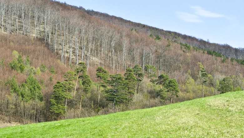 Naturpark Purkersdorf.jpg